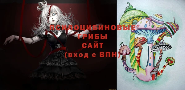 эйфоретик Арсеньев
