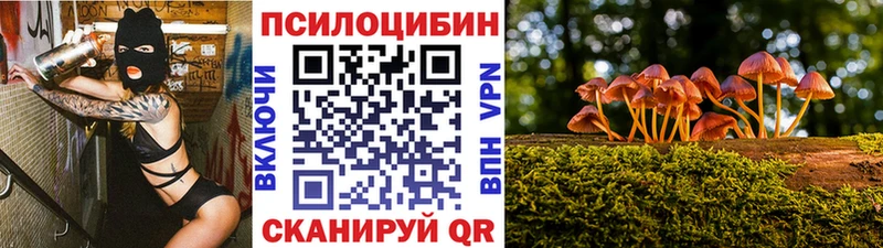 купить наркоту  Новороссийск  darknet наркотические препараты  Псилоцибиновые грибы мухоморы 